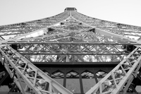 Tulipifera Photography, photographe Poissy