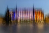 Tulipifera Photography, photographe Poissy