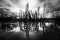 Tulipifera Photography, photographe Poissy