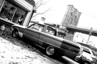 Tulipifera Photography, photographe Poissy