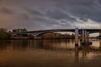 Tulipifera Photography, photographe Poissy