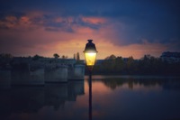 Tulipifera Photography, photographe Poissy