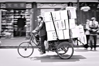 Tulipifera Photography, photographe Poissy