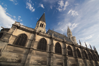 Tulipifera Photography, photographe Poissy
