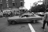 Tulipifera Photography, photographe Poissy