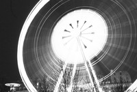 Tulipifera Photography, photographe Poissy