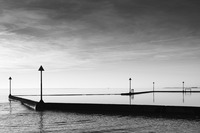 Tulipifera Photography, photographe Poissy