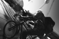 Tulipifera Photography, photographe Poissy